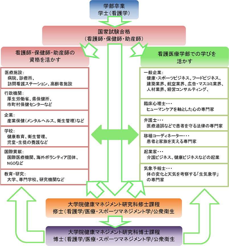 卒業後の進路 慶應義塾大学看護医療学部